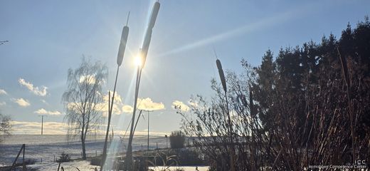 Luxe woning in Dietersburg, Lower Bavaria