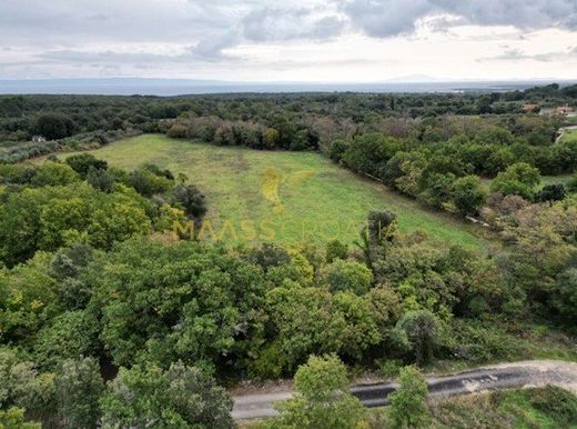 Terreno - Ližnjan, Ližnjan-Lisignano