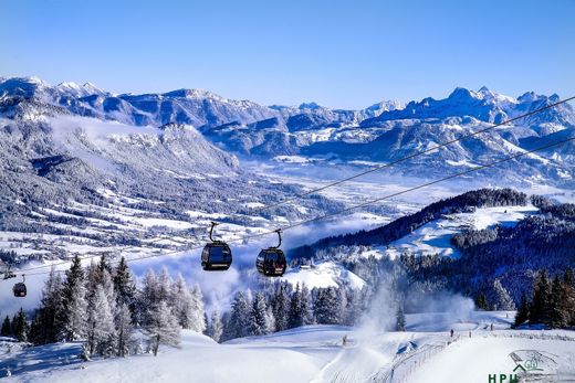 Flachau, Politischer Bezirk Sankt Johann im Pongauの土地