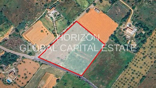 Arsa Santanyí, Illes Balears