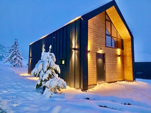 Villa in Zlatibor, Central Serbia