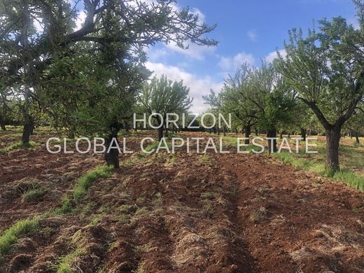 Terreno en Marratxí, Islas Baleares