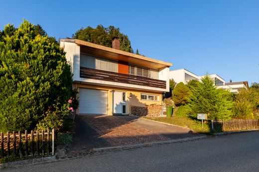 Luxury home in Füllinsdorf, Bezirk Liestal