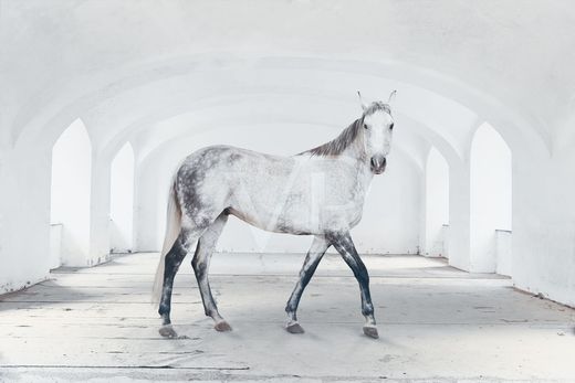 Luxury home in Szentbékkálla, Veszprém megye
