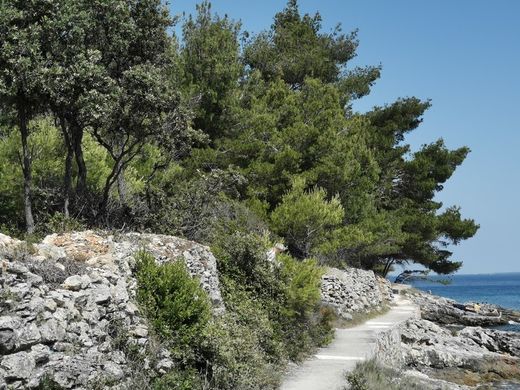 Terreno a Kukljica, Zadar