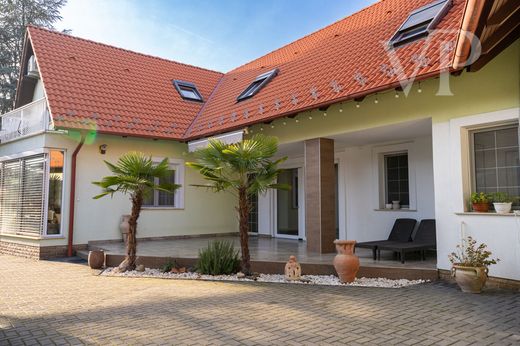 Πολυτελή κατοικία σε Kiskunmajsa, Bács-Kiskun county