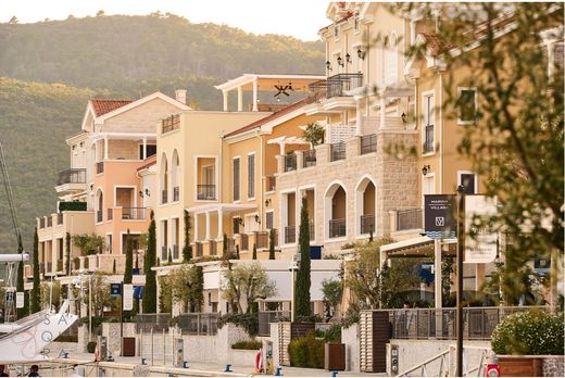 Daire Luštica, Herceg Novi