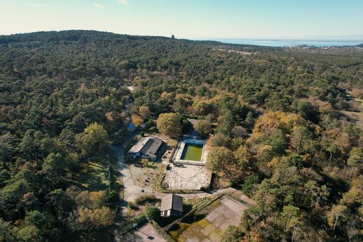 Repen, Triesteの土地