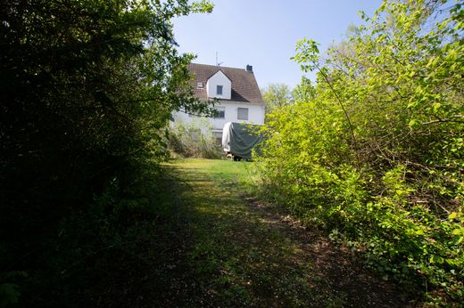 Terrain à Cologne, District de Cologne