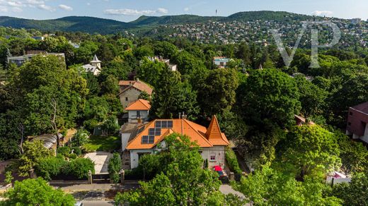 Villa in Budapest
