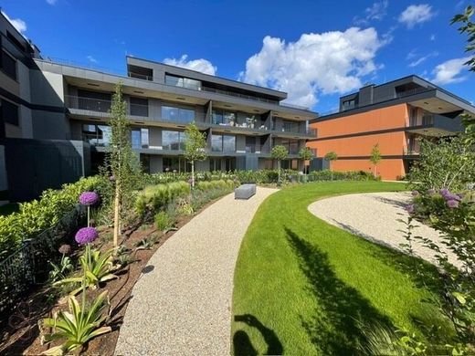 ﺷﻘﺔ ﻓﻲ Achau, Politischer Bezirk Mödling