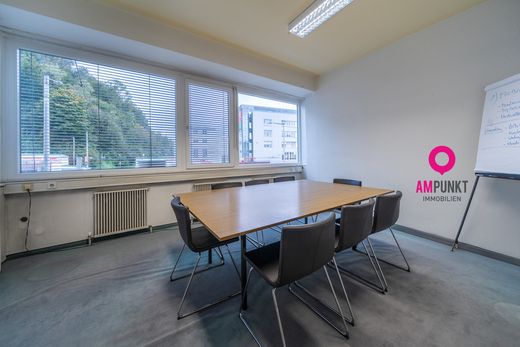 办公室  萨尔斯堡, Salzburg