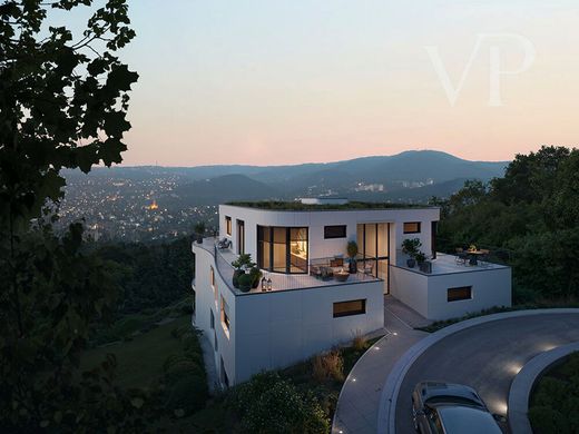 Penthouse in Budapest