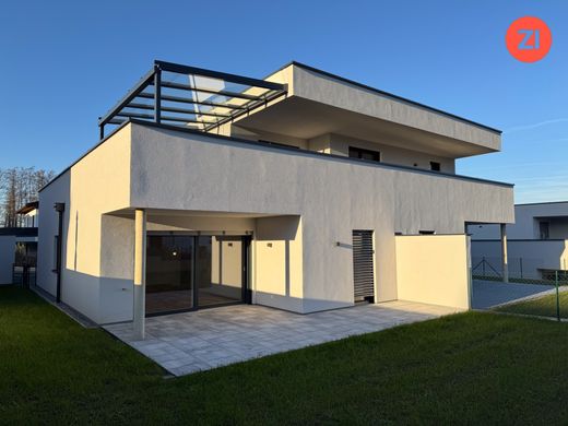 Daire Senftenbach, Politischer Bezirk Ried im Innkreis