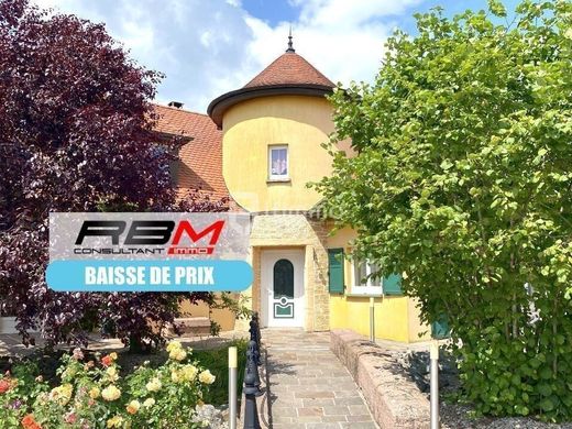 Luxury home in Dannemarie, Haut-Rhin