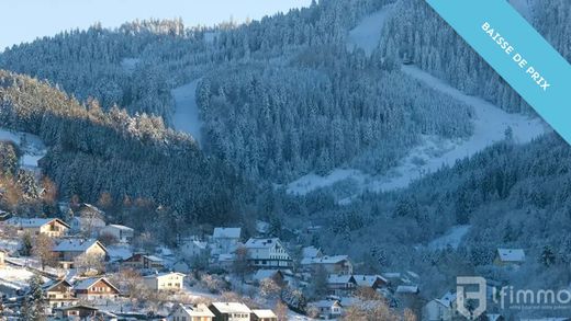 Apartment / Etagenwohnung in Gérardmer, Vosges