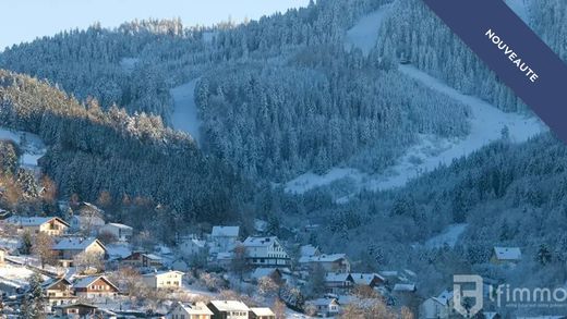 Apartment / Etagenwohnung in Gérardmer, Vosges