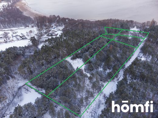 Arsa Łężeczki, Powiat międzychodzki