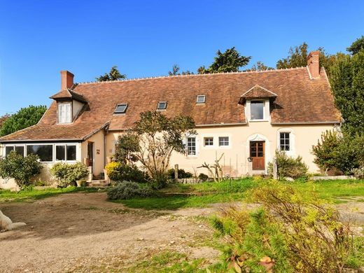 豪宅  Faverdines, Cher