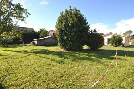 Casa de luxo - La Teste-de-Buch, Gironda