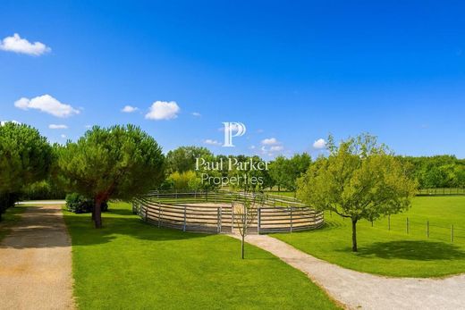 ﻣﻨﺰﻝ ﺭﻳﻔﻲ/ ﺑﻴﺖ ﻤﺰﺭﻋﺔ ﻓﻲ Montpon-Ménestérol, Dordogne