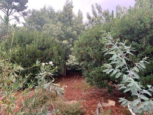 Luxus-Haus in Arcachon, Gironde