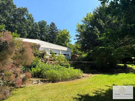 Luxury home in Basse-Goulaine, Loire-Atlantique