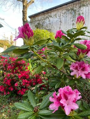 Luxury home in Vannes, Morbihan