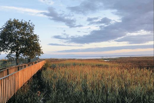 أرض ﻓﻲ Gujan-Mestras, Gironde