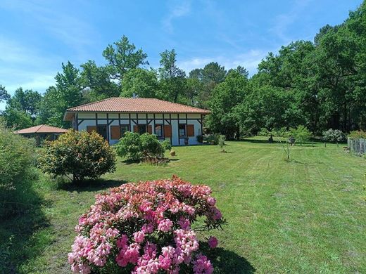 Luxus-Haus in Castets, Landes