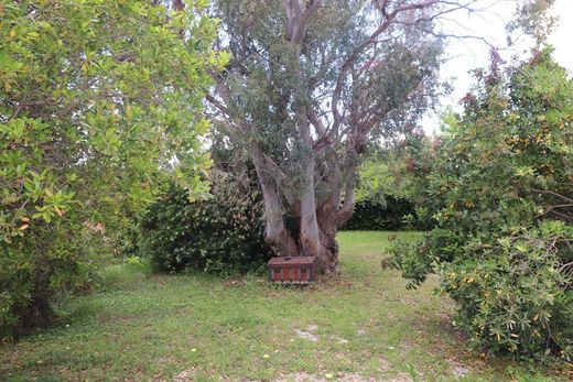 Luxe woning in Teyran, Hérault