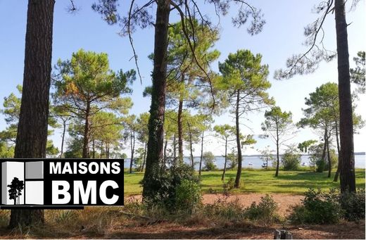 토지 / Lacanau, Gironde