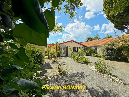 豪宅  Vendays-Montalivet, Gironde