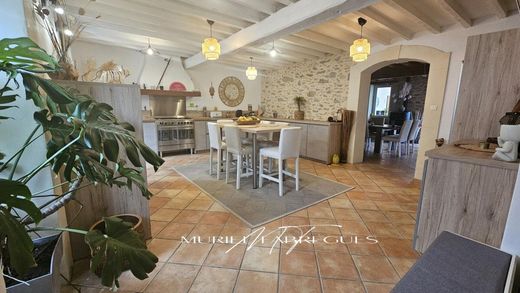 Luxury home in Saint-Martin-Lalande, Aude