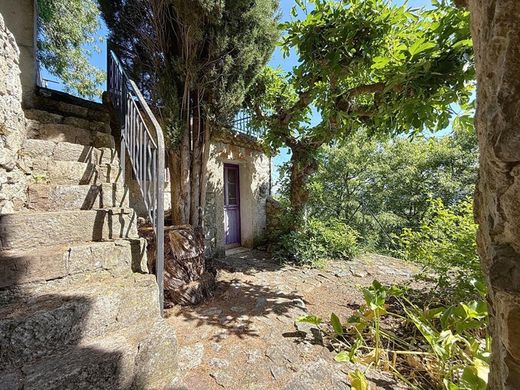 Luxury home in Solliès-Ville, Var