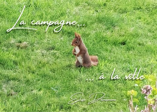 Элитный дом, Montivilliers, Seine-Maritime