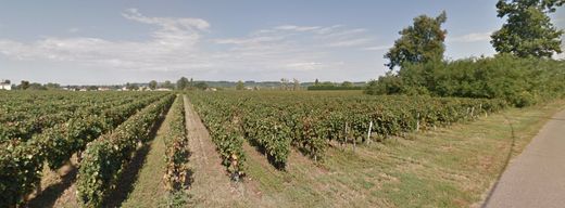 豪宅  Saint-Magne-de-Castillon, Gironde