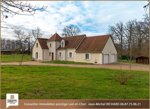 Luxury home in Pruniers-en-Sologne, Loir-et-Cher