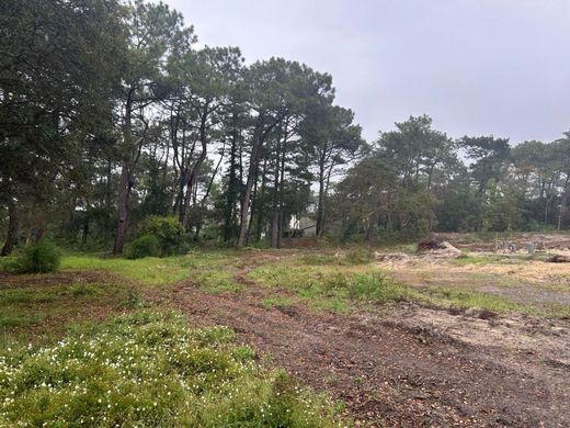 ‏קרקע ב  Seignosse, Landes