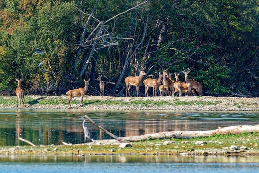 Πολυτελή κατοικία σε Gien, Loiret