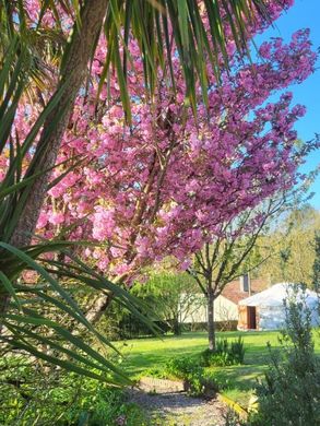 Luxury home in Bazoges en Pareds, Vendée