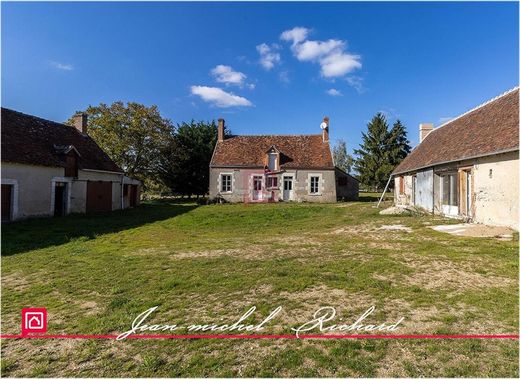 Элитный дом, Gy-en-Sologne, Loir-et-Cher