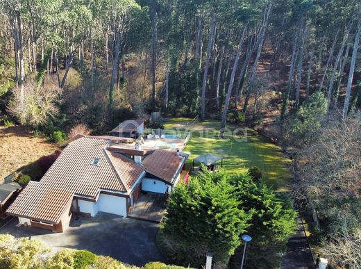 Villa - Seignosse, Landes