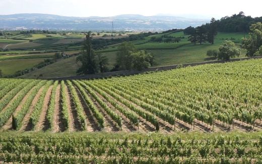 Terrain à Pauillac, Gironde