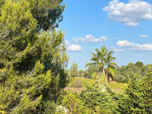 豪宅  Teyran, Hérault