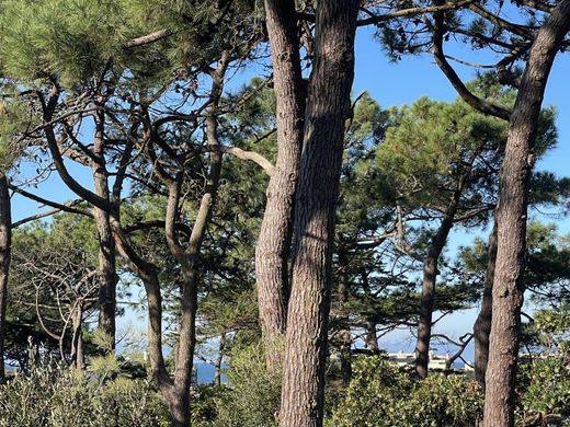 ‏קרקע ב  Lacanau, Gironde