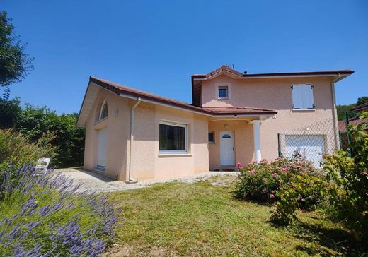 Casa de luxo - La Buisse, Isère