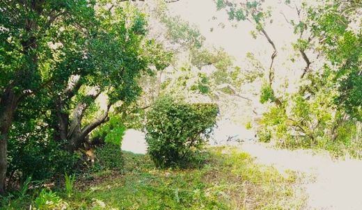 ‏קרקע ב  Lacanau, Gironde