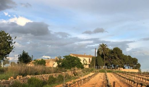 Villa in Valencia, Provinz Valencia