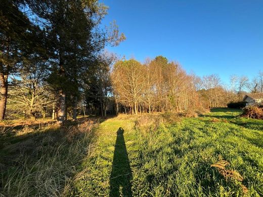 地皮  Mios, Gironde